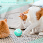 SMART BALL FOR CAT