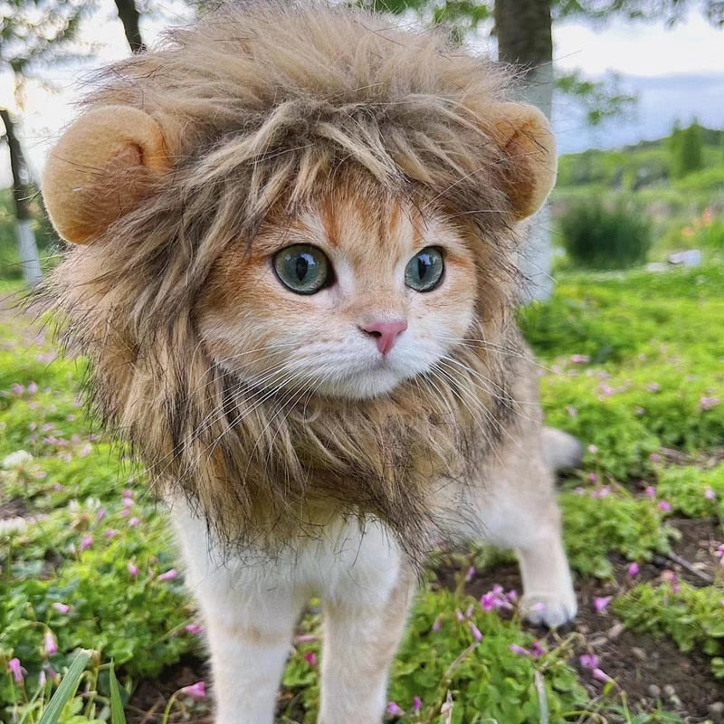 Lion wig for pets