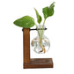 Glass vase for plants