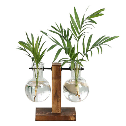 Glass vase for plants