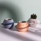Small planets for your plants