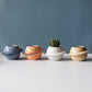 Small planets for your plants
