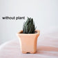 Small planets for your plants