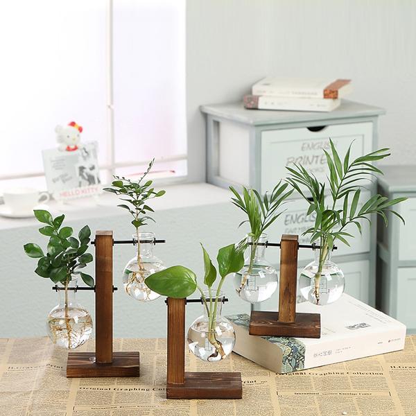 Glass vase for plants
