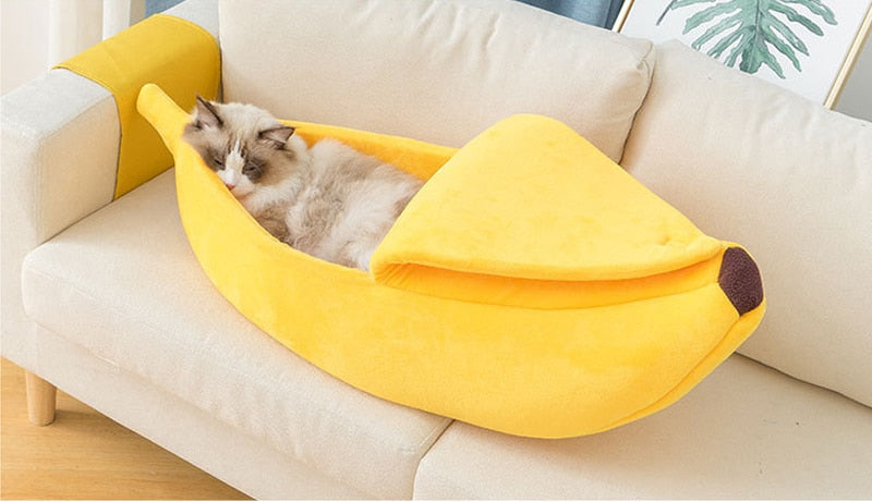 A warm bed for cats