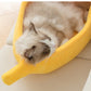 A warm bed for cats