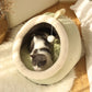 Sweet Cat Bed
