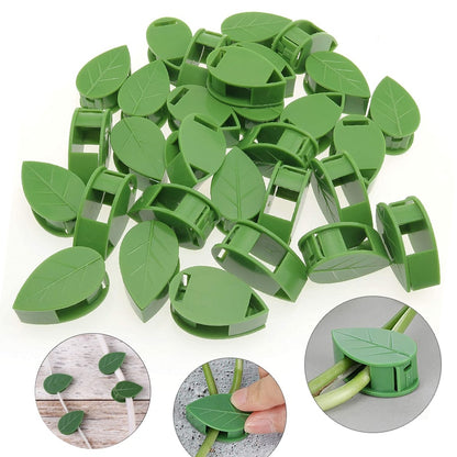 Plant Climbing Wall Fixture Clips