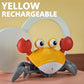 Escaping Crab Toy – Chasing Toy for Toddlers